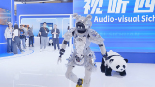 成人免费视频一区